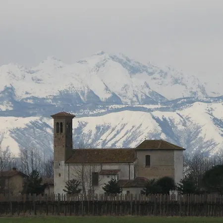 Bozzolo Dorato