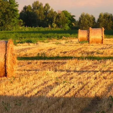 Bozzolo Dorato Maison d'hôtes 3*